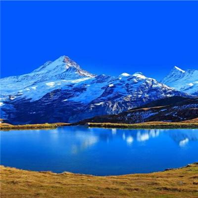 彩神手机app下载