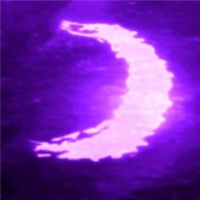 博鱼·体育app(中国)官网入口-手机版app下载截图